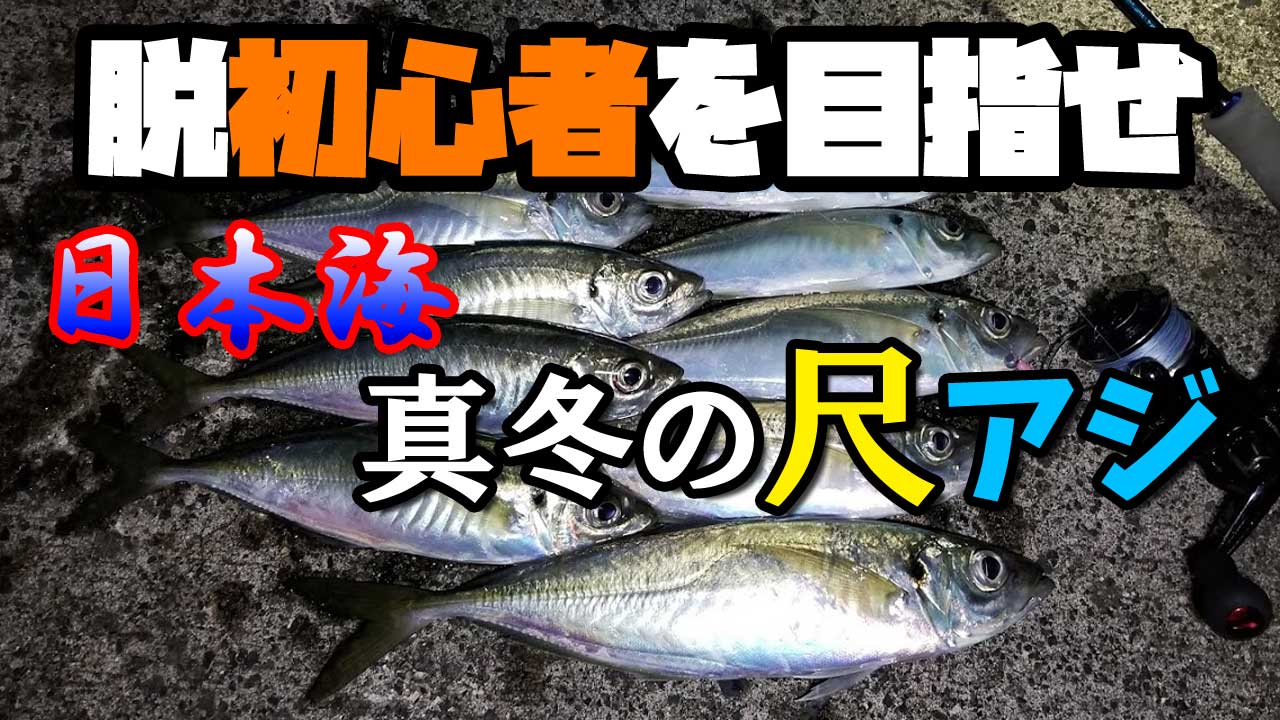 釣行動画 アジング 真冬の山陰日本海で尺アジを釣る Mキャロ シャローフリーク編 爆釣 アオリイカ天国